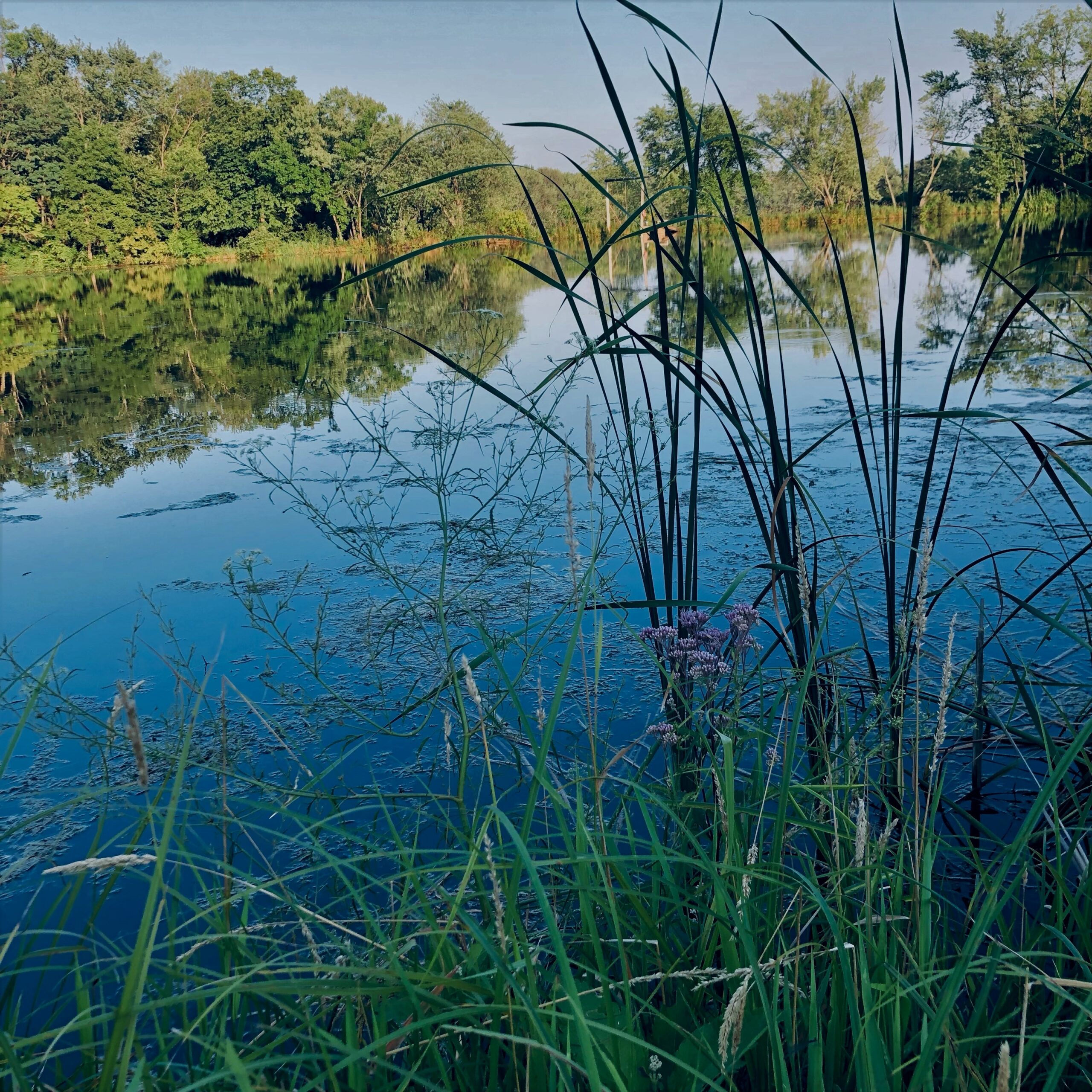 Dunrovin | Christian Brothers Retreat Center