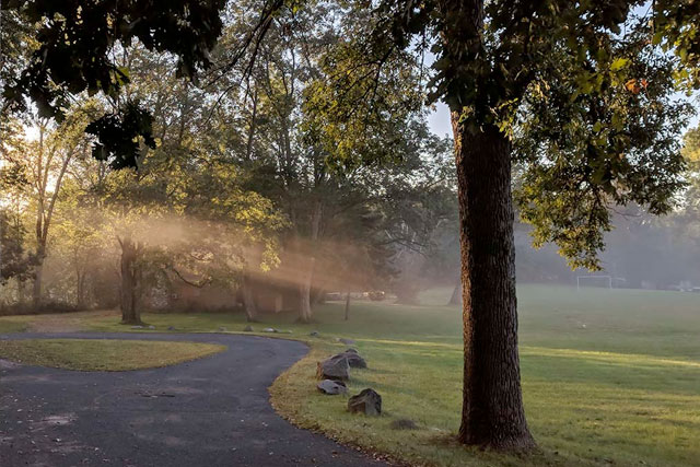 Morning sunbeam