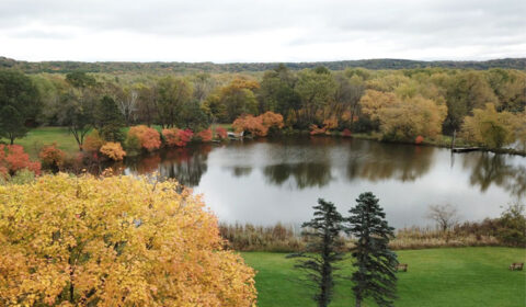 Aerial view of pond with yellow leaves - Fall Season