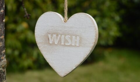 Heart with the "wish" engraved on it